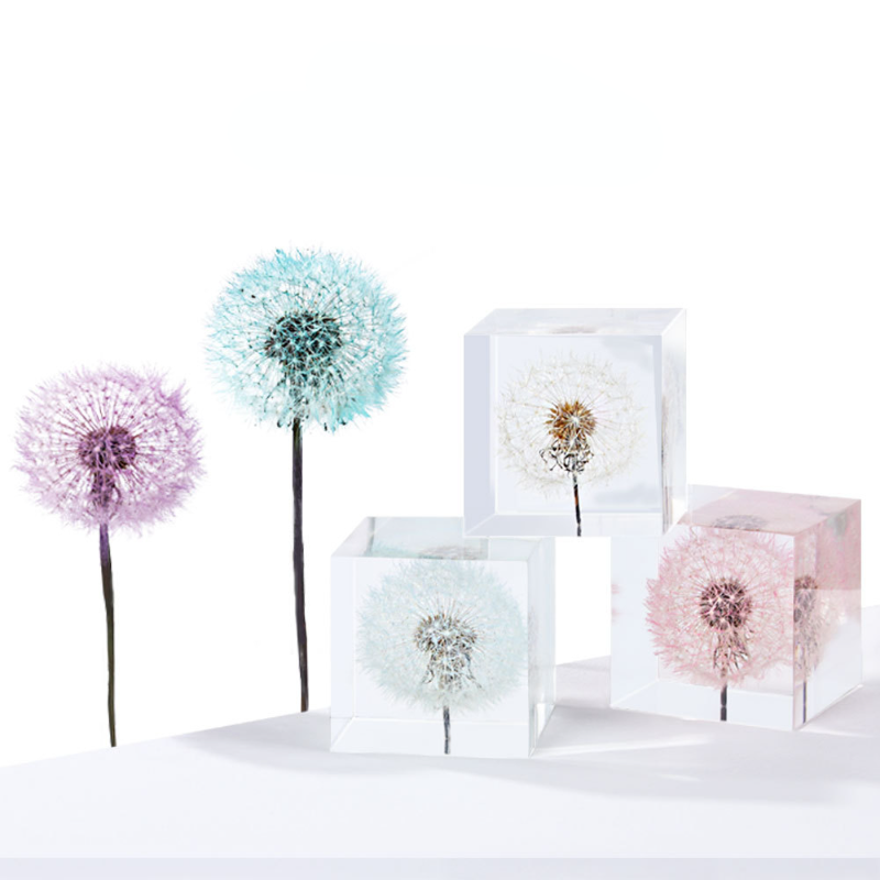 Dandelion preserved fresh flow - đánh giá và giá Flower Preservation Resin