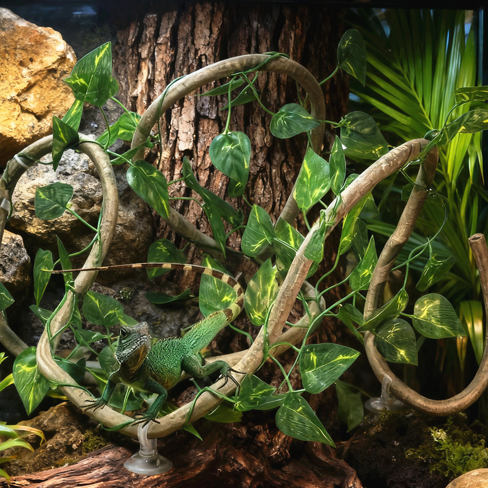 For Lizards Terrarium Tank Pet - đánh giá và giá Terrarium Moss Art