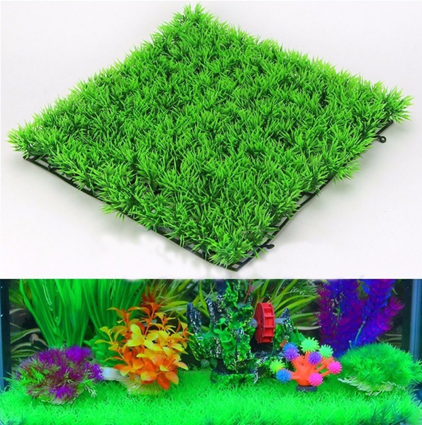 Artificial Green Grass Plant L - đánh giá và giá Terrarium Moss Art