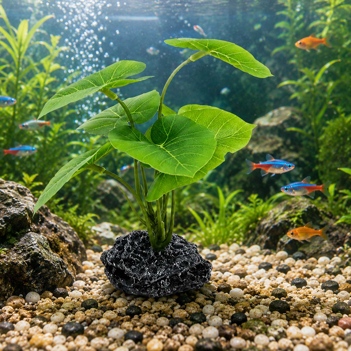 1pc Aquarium Simulation Plant  - đánh giá và giá Terrarium Moss Art