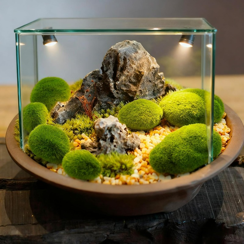 50/5PCS Artificial Foam Moss R - đánh giá và giá Terrarium Moss Art