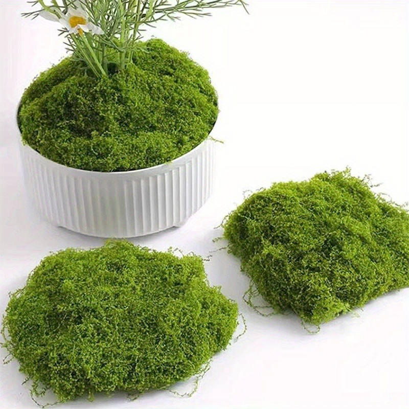 Green Fake Moss DIY Crafts Gra - đánh giá và giá Terrarium Moss Art